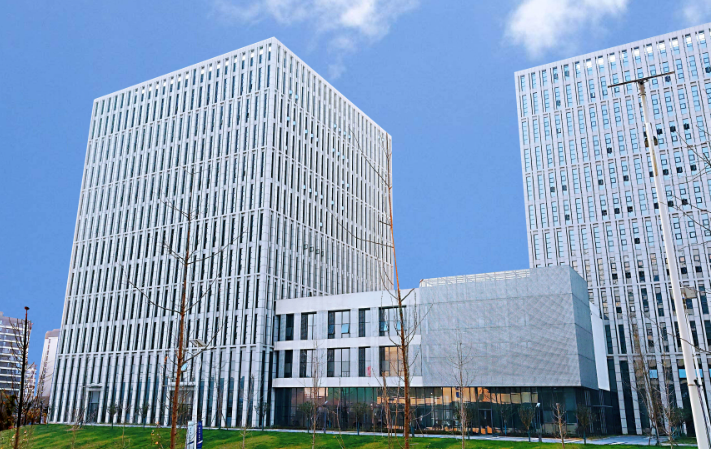 防护网与护栏网在基建安防场景中的差异化应用解析